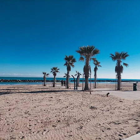 Il Cavalluccio Marino