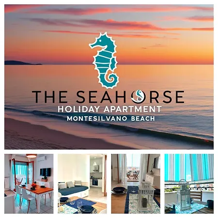 Apartament Il Cavalluccio Marino Montesilvano Marina